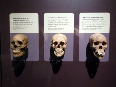 National History Museum