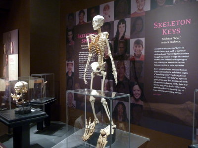 National History Museum