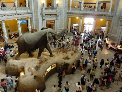National History Museum