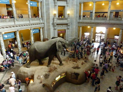 National History Museum