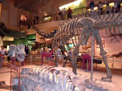 National History Museum