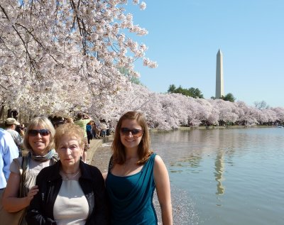 Tidal Basin Cherry Blossoms