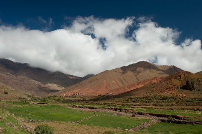 g1/82/416782/3/104983171.d3ZNGr5R.jpg