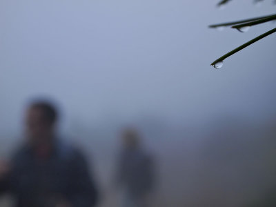 Niebla