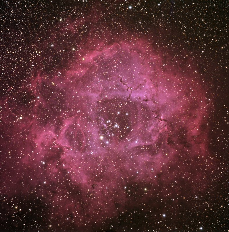 Rosette HaLRGB 140 90 60 60 40