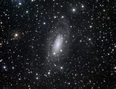 NGC 3621 LRGB 160 50 60 60.jpg