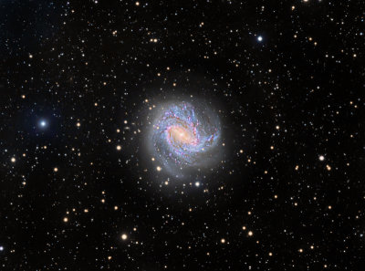 M83 HaLRGB 40 130 60 30 50 with 12.5 inch RCOS scope data as well