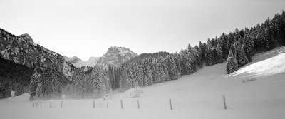 Hiking in the Alps