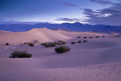 DV-2009_6696-DunesPS.jpg