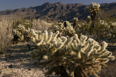 JTNP_9391.jpg