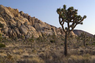 JTNP_9428.jpg
