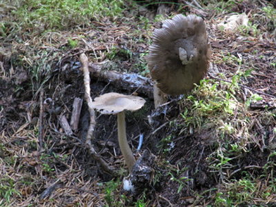 IMG_1429_1.JPG