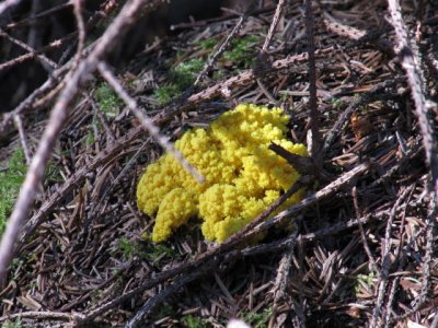 IMG_1502_1.JPG
