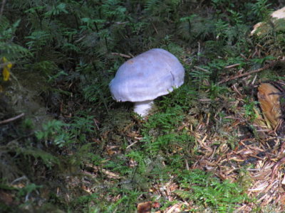 IMG_1576_1.JPG
