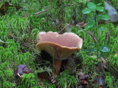 IMG_1722_1.JPG
