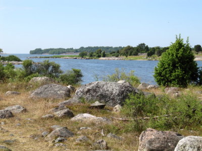 IMG_3911_1.JPG