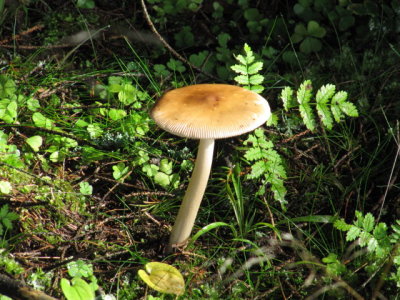 IMG_4493_1.JPG