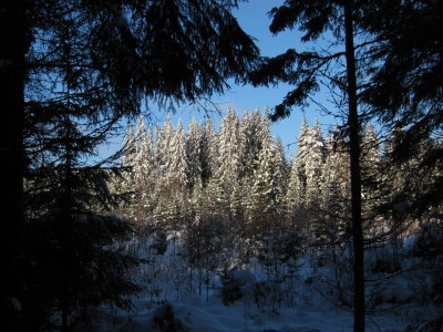 IMG_4830_1.JPG
