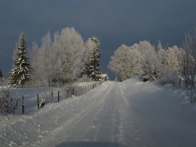 IMG_4861_1.JPG