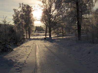 IMG_4877_1.JPG