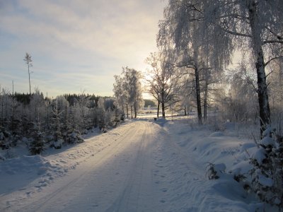 IMG_4880_1.JPG