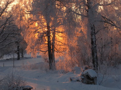 IMG_4903_1.JPG
