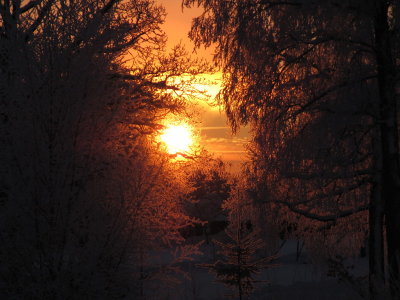 IMG_4907_1.JPG