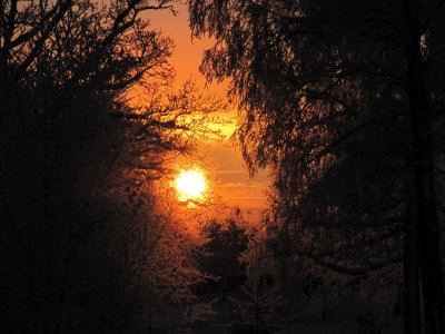 IMG_4908_1.JPG