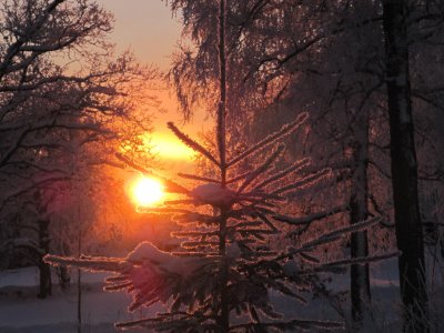 IMG_4910_1.JPG