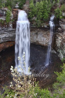 IMG_8001   Fall Creek Falls and Raccoon Creek Falls