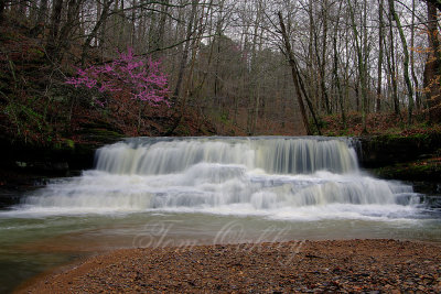 IMG_8442  Union Camp waterfall with redwood