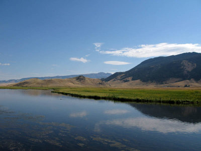 National Elk Refuge