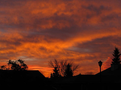 Backyard Sunrise Nov 4