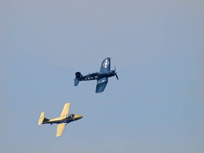 g1/82/46482/3/127326281.RoZ0F1Vn.jpg