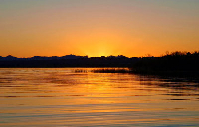 Lake Havasu Winterfest Sunset