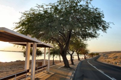  Morning  along the Dead Sea road.jpg