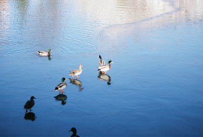 5906197-R5-054-25A.jpg