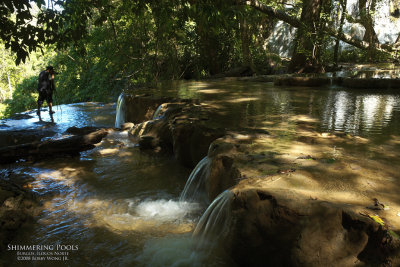 Shimmering Pools_MG_1451.jpg