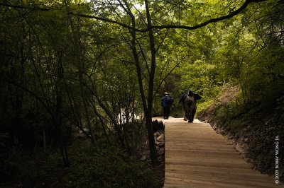 We carry our own stuff from place to place connected by boardwalks like this one.