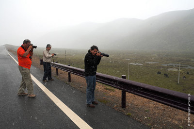 Shooting under a flurry... of light snow