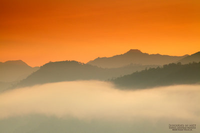 Shrouded in Mist_MG_9974E.jpg