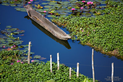 tboli canoe _MG_3423.jpg