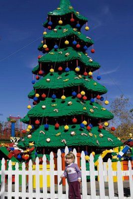 IMG_1150.jpg