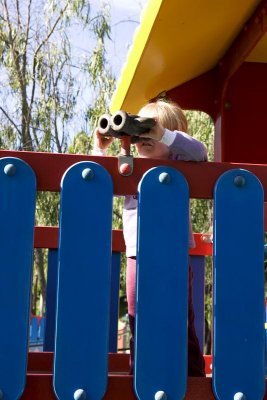 IMG_1201.jpg