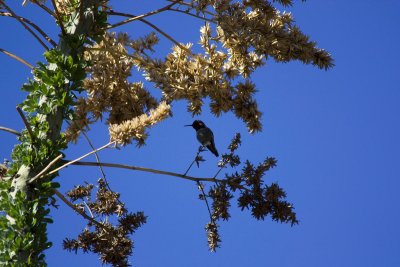 IMG_1341.jpg