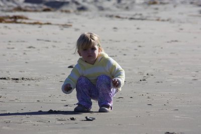 IMG_1393.jpg