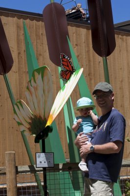 IMG_3685.jpg