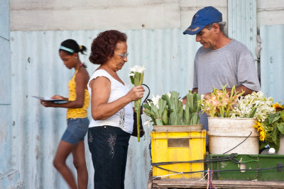 Flores que no falten para un pais alegre (La Habana)