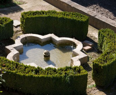8914-GENERALIFE