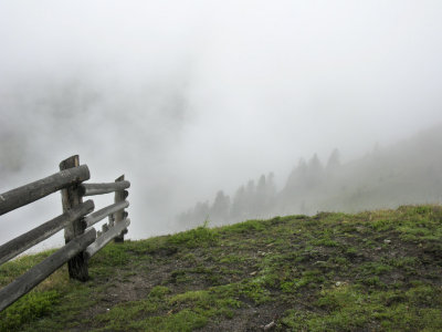 IMG_2173.jpg